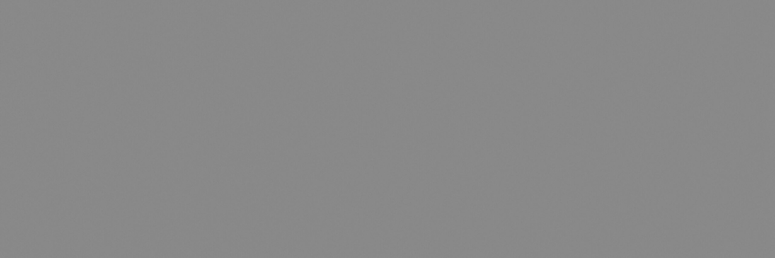 78ba-31_coverlam-basic-gris-100x300_rgb Basic Gris 1000x3000x3.5mm