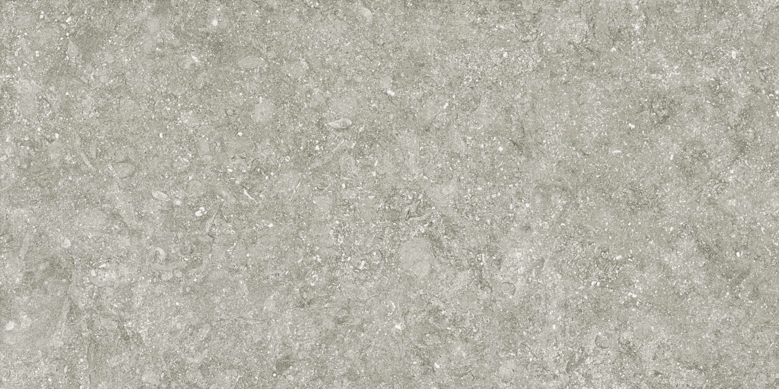 78bs34e_bluestone-gris-e2-50x100-1_rgb Blue Stone Gris 500x1000x5.6mm