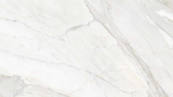 Calacata 500x1000x5.6mm