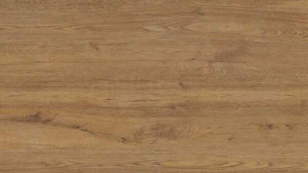 Jungla Iroko 1200x2600x3.5mm