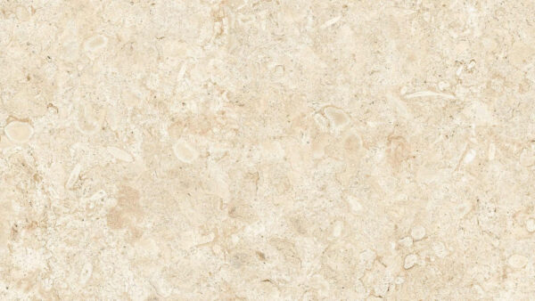 Coralina Blanco 1200x2600x3.5mm
