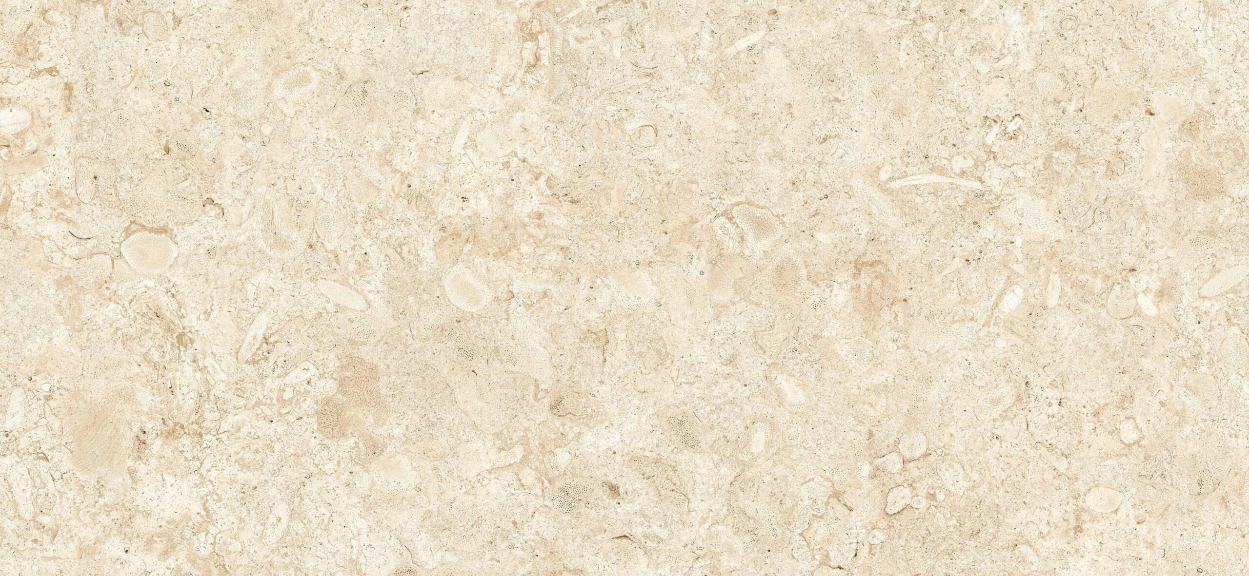 78rb-47_coralina-bco-e1-1200x2600_rgb-e1576151210279-3000x1385 Coralina Blanco 1200x2600x3.5mm