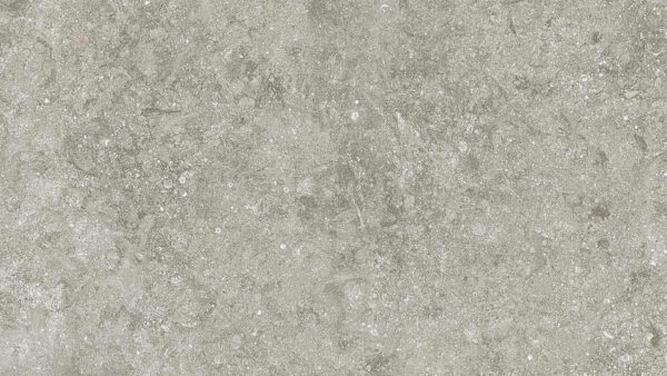 Blue Stone Gris 1200x1200x5.6mm