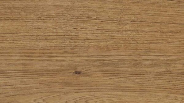 Jungla Iroko 295x1800x5.6mm