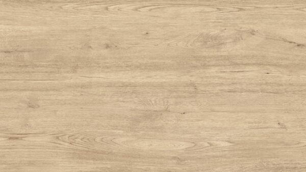 Jungla Cipres 1200x3600x5.6mm