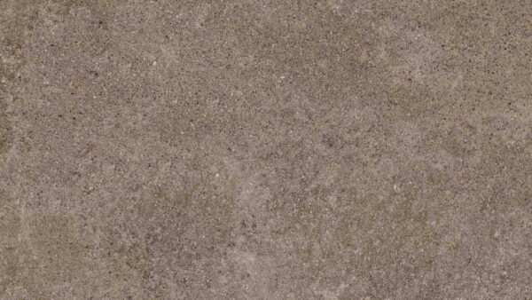 Porfido Brown 1200x1200x5.6mm