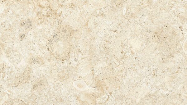 Coralina Blanco 1200x1200x5.6mm