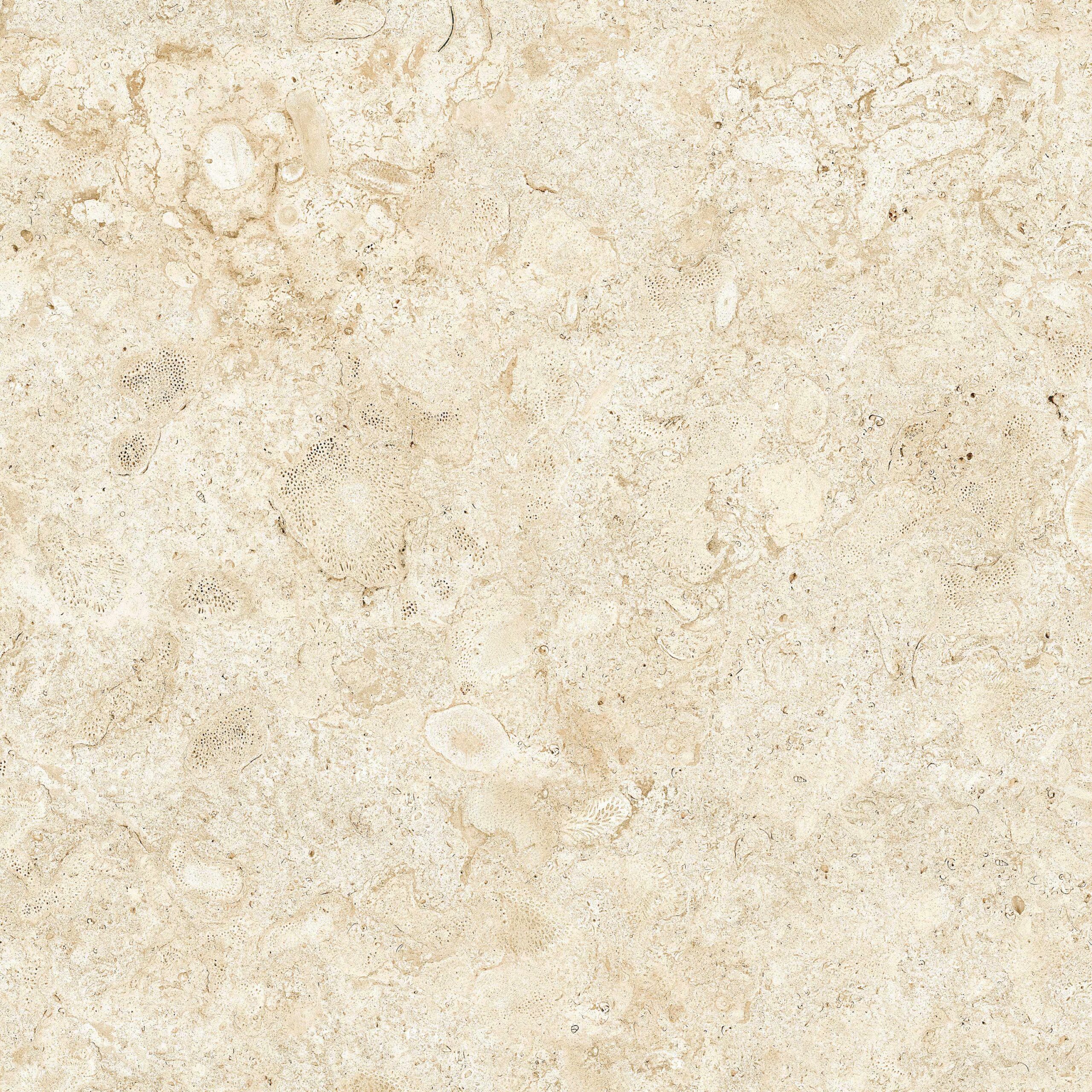80rb43e_coralina-bco-e1-1200x1200_rgb Coralina Blanco 1200x1200x5.6mm