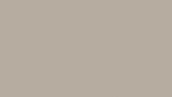 Basic Taupe 1620x3240x12mm