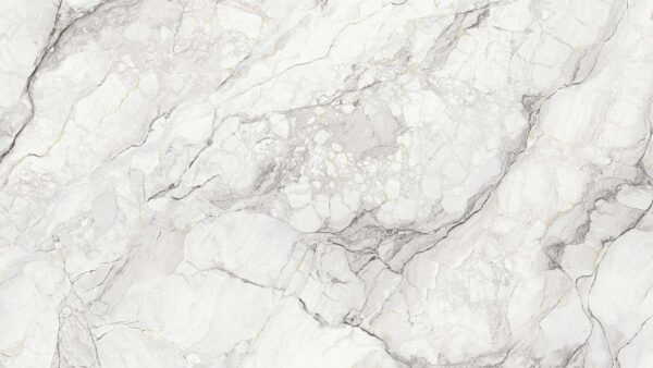 Camouflage Book B 1620x3240x20mm