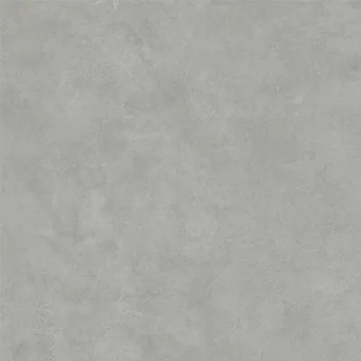 SURFACE SAGE REL