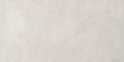 VILLAGE ICE NAT