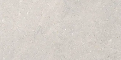 VILLAGE ICE NAT