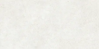 PANGEA ARENA NAT