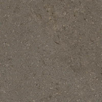 VICENZA ANTICA BROWN SEDA PUL