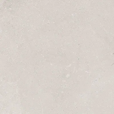 VILLAGE ICE NAT