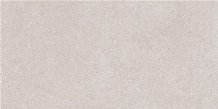 KTL P.C. LEIRIA GREIGE MT 60X120 RECT. (6MM)