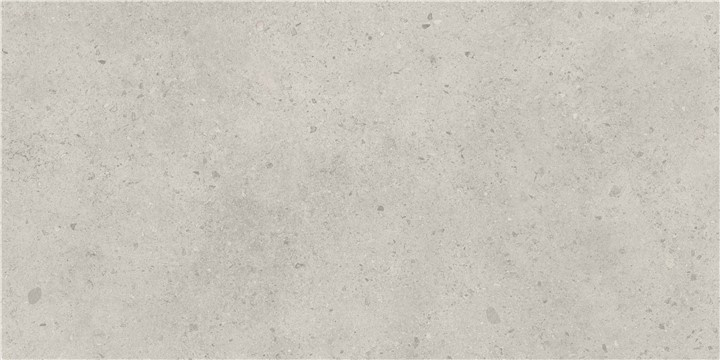 KTL P.E. LENS LIGHT GREY MT 60X120 RECT. KTL P.E. LENS LIGHT GREY MT 60X120 RECT.