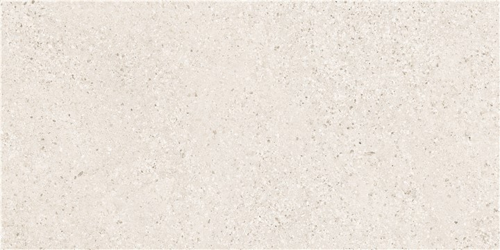 KTL P.E. PALERMO PEARL R10 60X120 RECT.