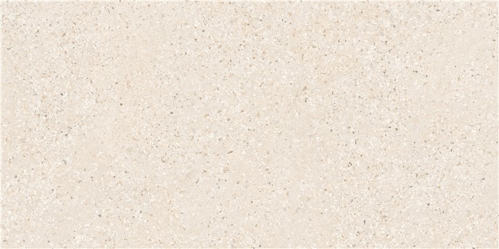 KTL P.E. PALERMO SAND R10 60X120 RECT.