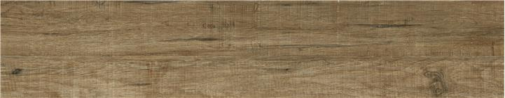 KTL P.E. ALEN FOREST MT 23X120