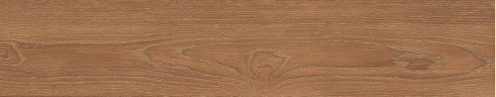 KTL P.E. BEGNA BROWN MT R10 23X120